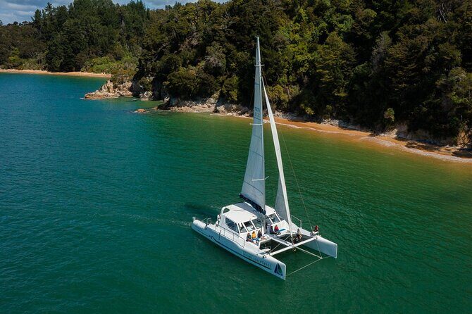 Cruise, Walk, and Sail in Abel Tasman National Park - Detailed Breakdown of the Experience