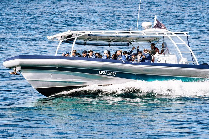 Cruise with Dolphins in Byron Bay - FAQs