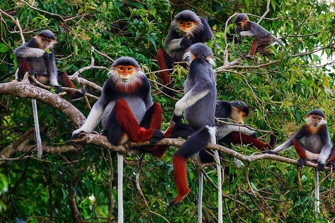 CUC Phuong National Park One Day Small Group - Detailed Breakdown of the Itinerary