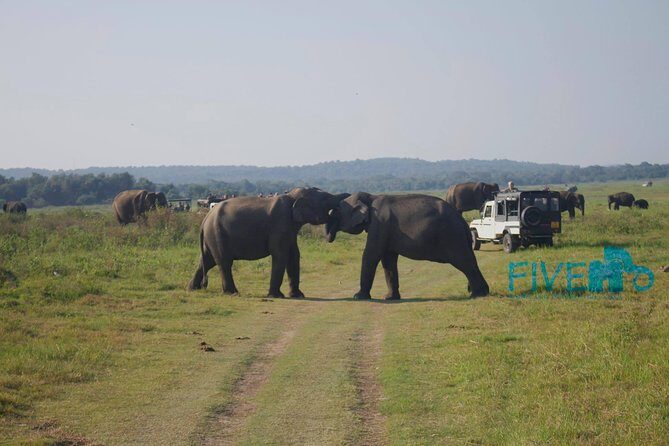 Cultural and Wildlife Expedition 10 Days - Who Is This Tour Best For?