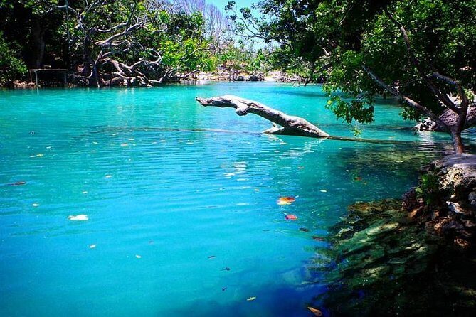 Cultural Experience & Blue Lagoon with Yumi Tours - Transportation and Group Size