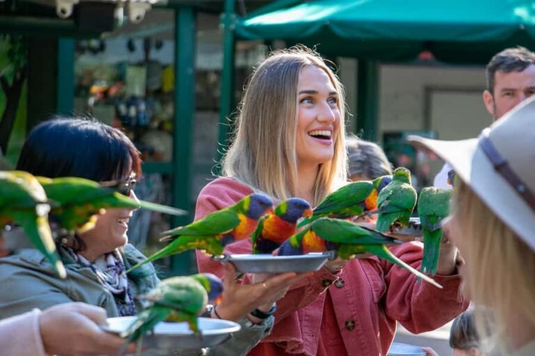 Currumbin Wildlife Sanctuary Entry Ticket - Reviews and Real Experiences