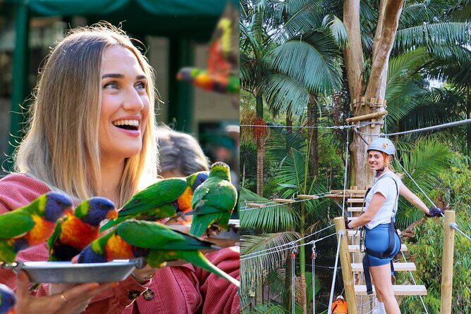 Currumbin Wildlife Sanctuary Pass + The Treetop Challenge - An Honest Look at Challenges and Limitations