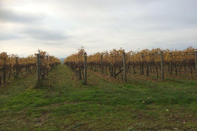 Customized private winery day tour in Mornington Peninsula at your own choices - What Can You Expect at Each Stop?