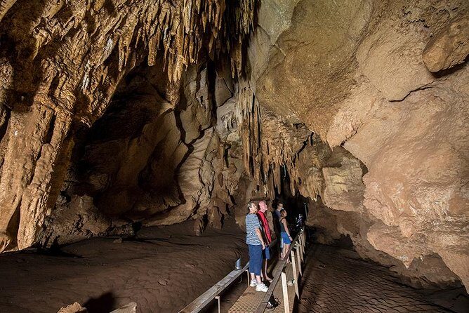 Cutta Cutta Caves Nature Park Guided Tours - Practical Tips and Expectations