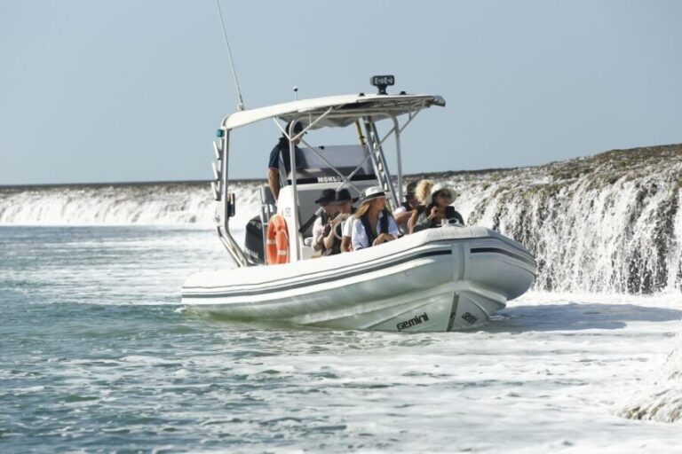 Cygnet Bay Unique Tidal Waterfall Reefs Scenic Cruise - Authentic Feedback from Travelers