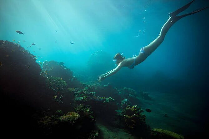 Da Nang: Son Tra Peninsula Exploration - Snorkeling, Fishing - Authentic Experiences and Real Feedback