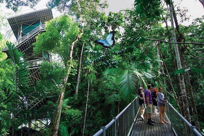 Daintree Discovery Centre Family Pass Ticket - What Makes the Daintree Discovery Centre Stand Out?