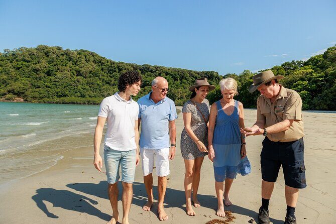 Daintree Rainforest and Cape Tribulation Day Tour from Cairns - What It Means for You: The Experience in Practice