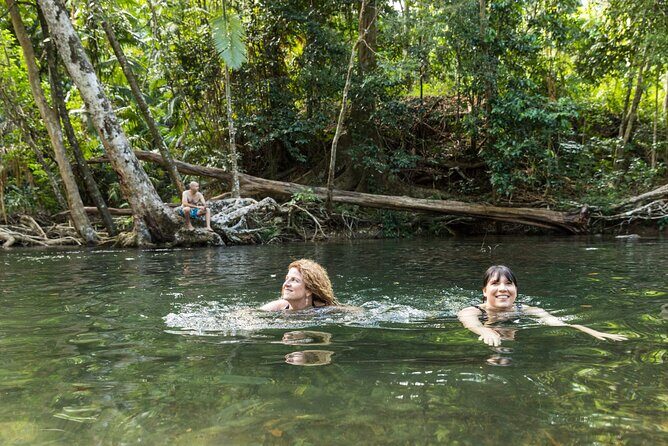 Daintree Rainforest and Cape Tribulation Full Day Tour - The Value of This Tour