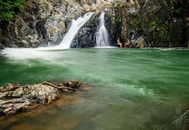 Daintree Rainforest: Magic Waterfall Walk with Lunch & Swim - A Deep Dive into the Daintree Waterfall Walk Experience