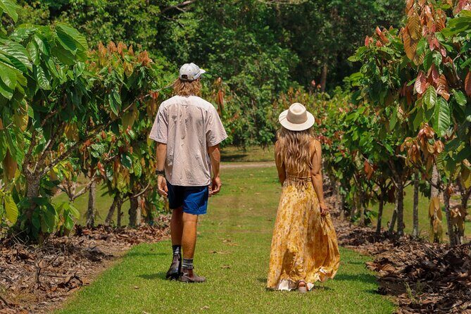 Daintree Sensations - What’s Included and What’s Not