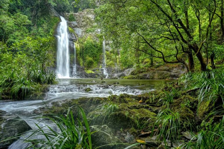 Daintree waters tour, all terrain vehicles and light lunch. - The Value of This Experience