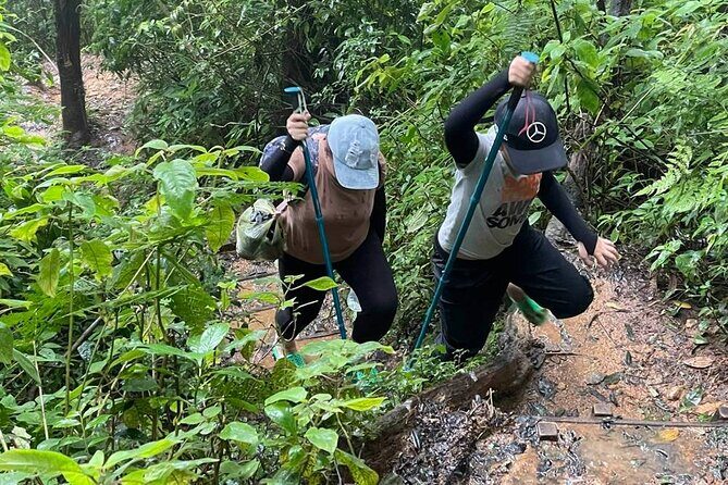 Dalat Pinhatt Peak Jungle Trek and Tuyen Lam Lake - The Experience in Detail