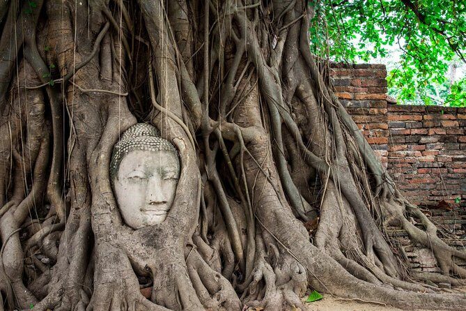 Damnoen Saduak Floating Market and Ayutthaya Full-Day Tour - Who Should Consider This Tour?