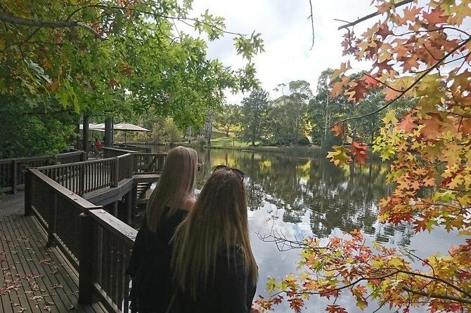 d'Arenberg Cube / McLaren Vale Regional Tour - Why This Tour Offers Great Value