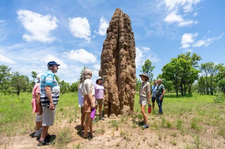 Darwin: 5-Day 4WD Kakadu Litchfield Tour & Billabong Cruise - Transportation, Group Size, and Price: What Does It Mean for You?