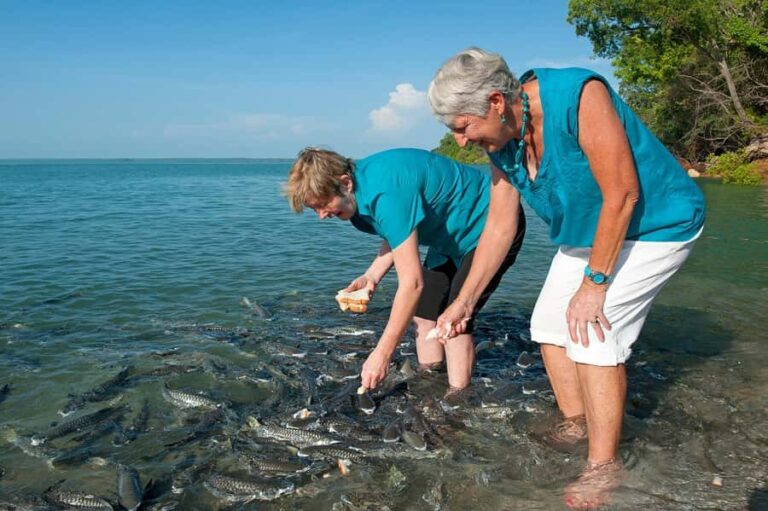 Darwin: Aquascene Fish Feeding Experience - Breaking Down the Itinerary