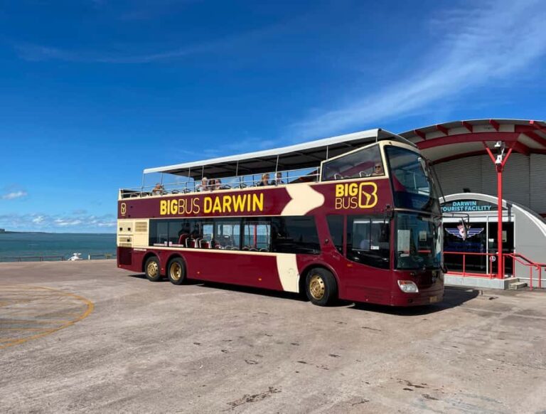 Darwin: Big Bus Open-Top Hop-on Hop-off Tour - Who Will Benefit Most?