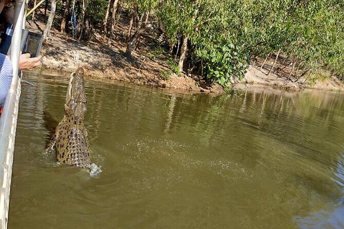 Darwin City Tour + Crocodile Cruise+Lunch Optional - FAQ