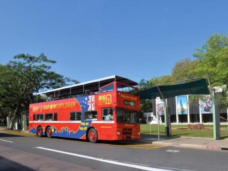 Darwin: Crocosaurus Cove Entry & Hop-on-Hop-Off Bus Tour - The Hop-On Hop-Off Bus Experience