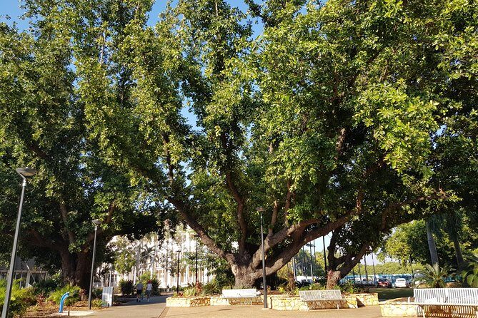 Darwin Heritage Walk - Itinerary Breakdown: What You’ll See and Learn