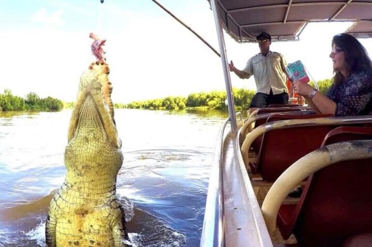 Darwin: Jumping Crocodile Adventure Cruise with Lunch - The Itinerary Breakdown