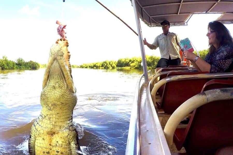 Darwin: Jumping Crocodile Adventure Cruise with Lunch - The Itinerary Breakdown