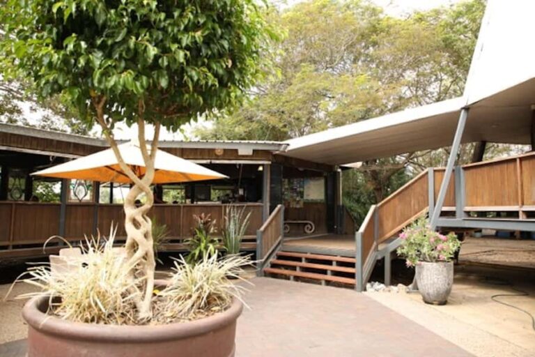 Darwin: Pathfinder Original Jumping Crocodile Cruise - The Itinerary and What You Can Expect