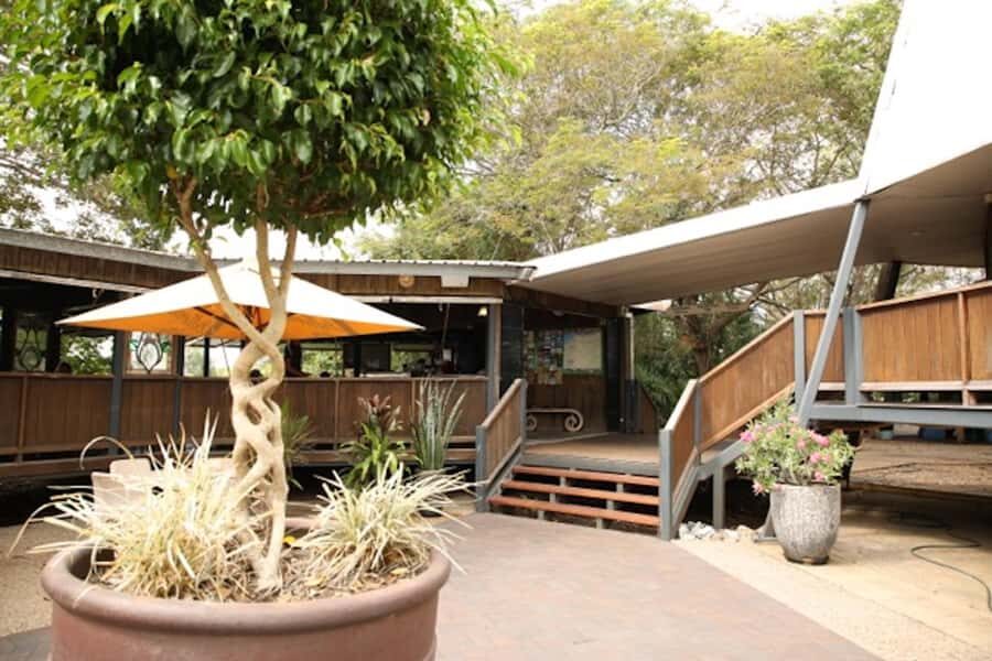 Darwin: Pathfinder Original Jumping Crocodile Cruise - The Itinerary and What You Can Expect