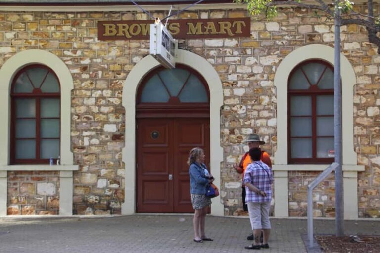 Darwin: Small Group 2-Hour Heritage Walk - Who Should Consider This Tour?