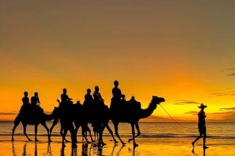 Darwin: Sunset Camel Ride along Mindil Beach - Price and value