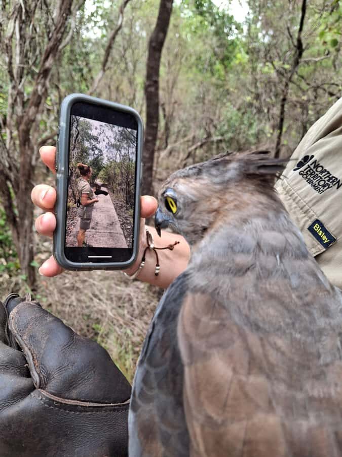 Darwin: Territory Wildlife Park Entry Ticket - What to Expect from Your Visit