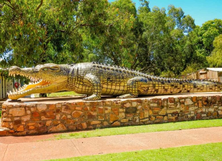 Darwin to Cairns: Kakadu & Gulf Savannah 11 Day Tour - What to Expect From the Experience