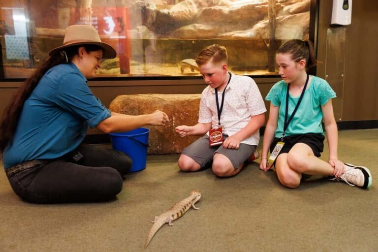 Darwin: Whipray Encounter with Entry to Crocosaurus Cove - The Inside Scoop on Crocosaurus Cove