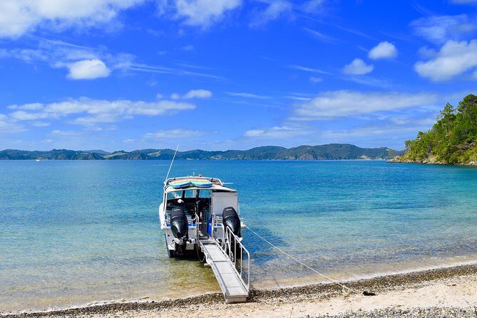 Day Cruise & Island Tour - Snorkel/Wildlife/Paddleboard/Islands - Who Will Love This Tour?
