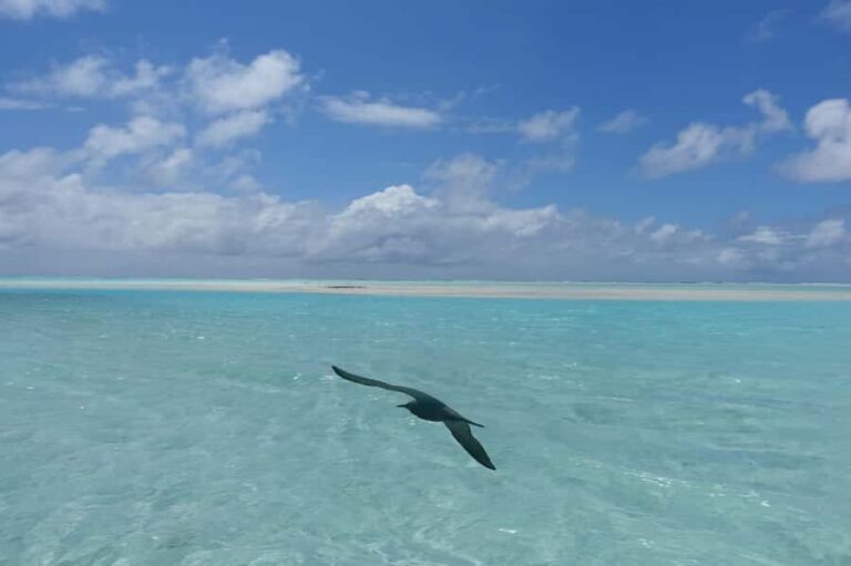 Day cruises to Tetiaroa - Practical Details and Tips for the Trip
