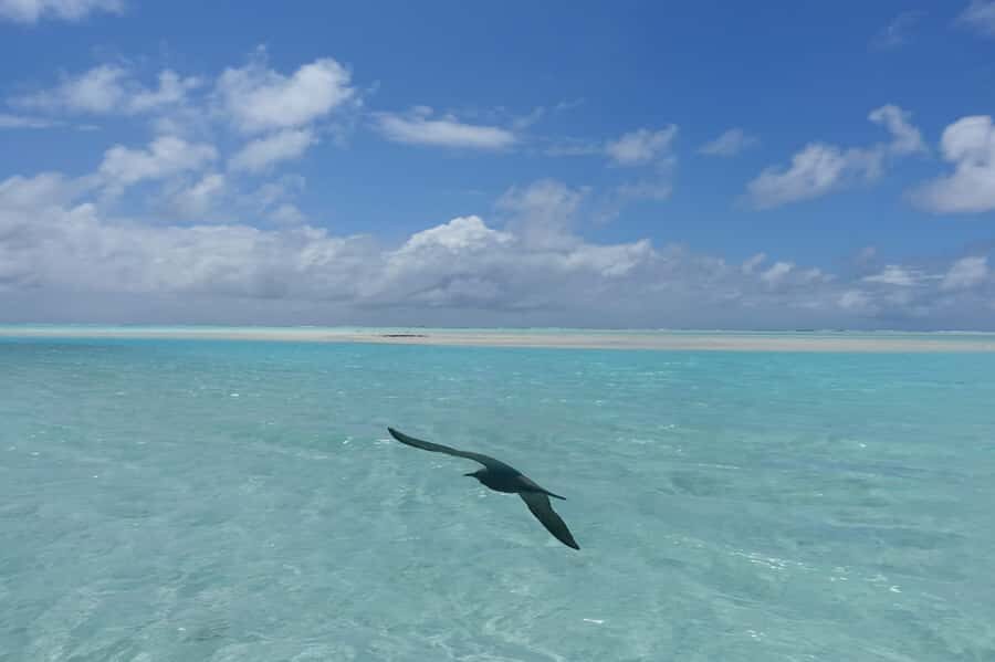 Day cruises to Tetiaroa - Practical Details and Tips for the Trip