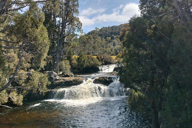Day Excursion Burnie Cradle Mt National Park - Who Is This Tour Best For?