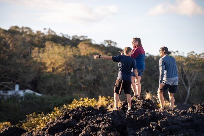 Day sea kayak tour Rangitoto Island - How Does It Value Compare?