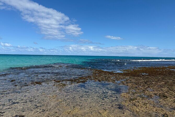 Day Tour Exploration of Fiji Culture and Nature - What’s Included and What to Expect