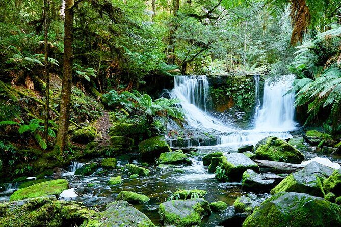 Day Tour in Mt. Field, Mt. Wellington, Bonorong Wildlife Sanctuary and Richmond - Authentic Experiences and Practical Tips