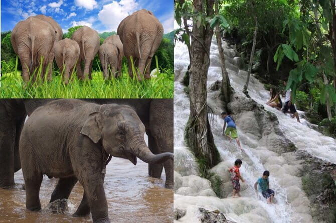 Day Tour Small Group Elephant Sanctuary and Fun Sticky Waterfall - Why Choose This Tour? Analyzing the Value