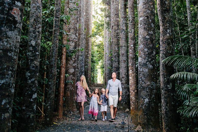 Day Tour to Paronella Park, Lake Barrine and Millaa Millaa Falls - Transport, Group Size, and Overall Value