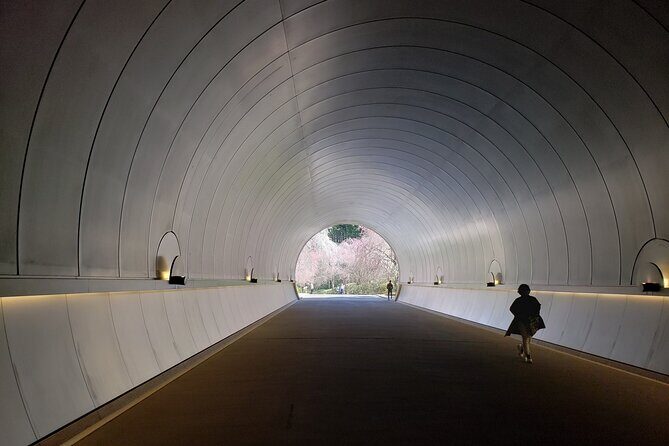Day Trip MIHO Museum and Shigaraki from Kyoto by Private Car - An In-Depth Look at the Tour Experience
