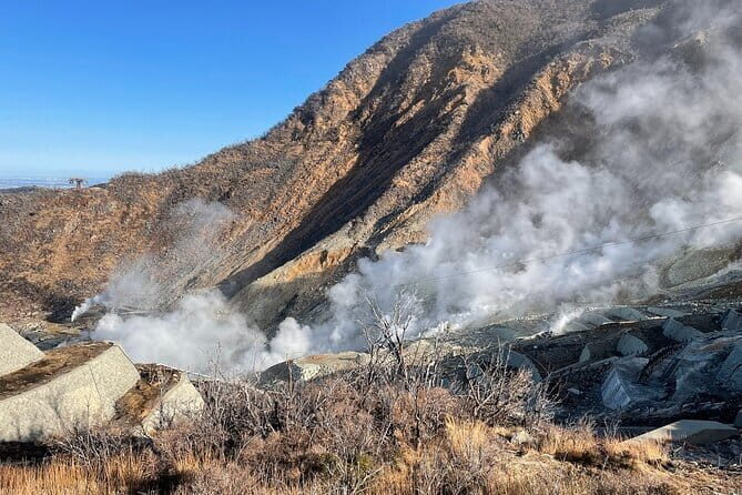 Day Trip to Hakone from Tokyo with National Licensed Guide - Who Should Consider This Tour?
