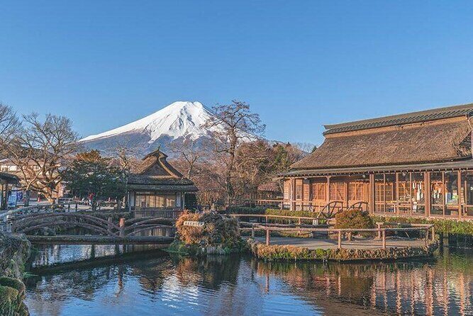 Day Trip To Mount Fuji and Hakone from Tokyo with English Guide - What Makes This Tour Stand Out