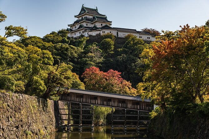 Day Trip Wakayama Tour from Osaka - The Sum Up