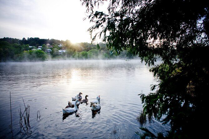 Daylesford Goldfields Track Walking and Wellness Experience - What the Reviews Say