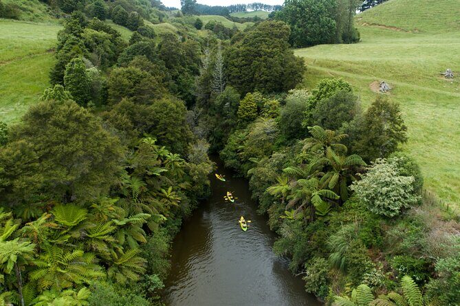 Daytime Canyon Kayak Tour - An In-Depth Look at the Rotorua Canyon Kayak Tour
